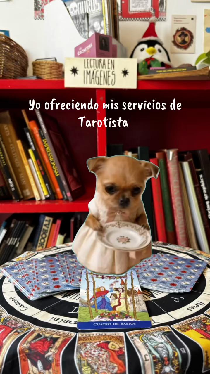 @T de Tarot