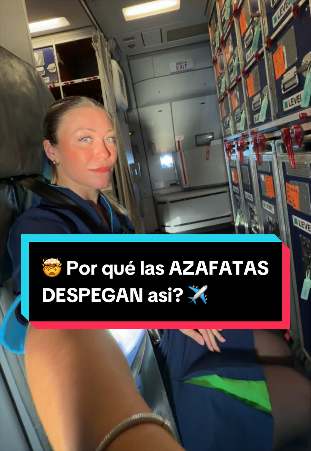 @Barbiebac La Azafata