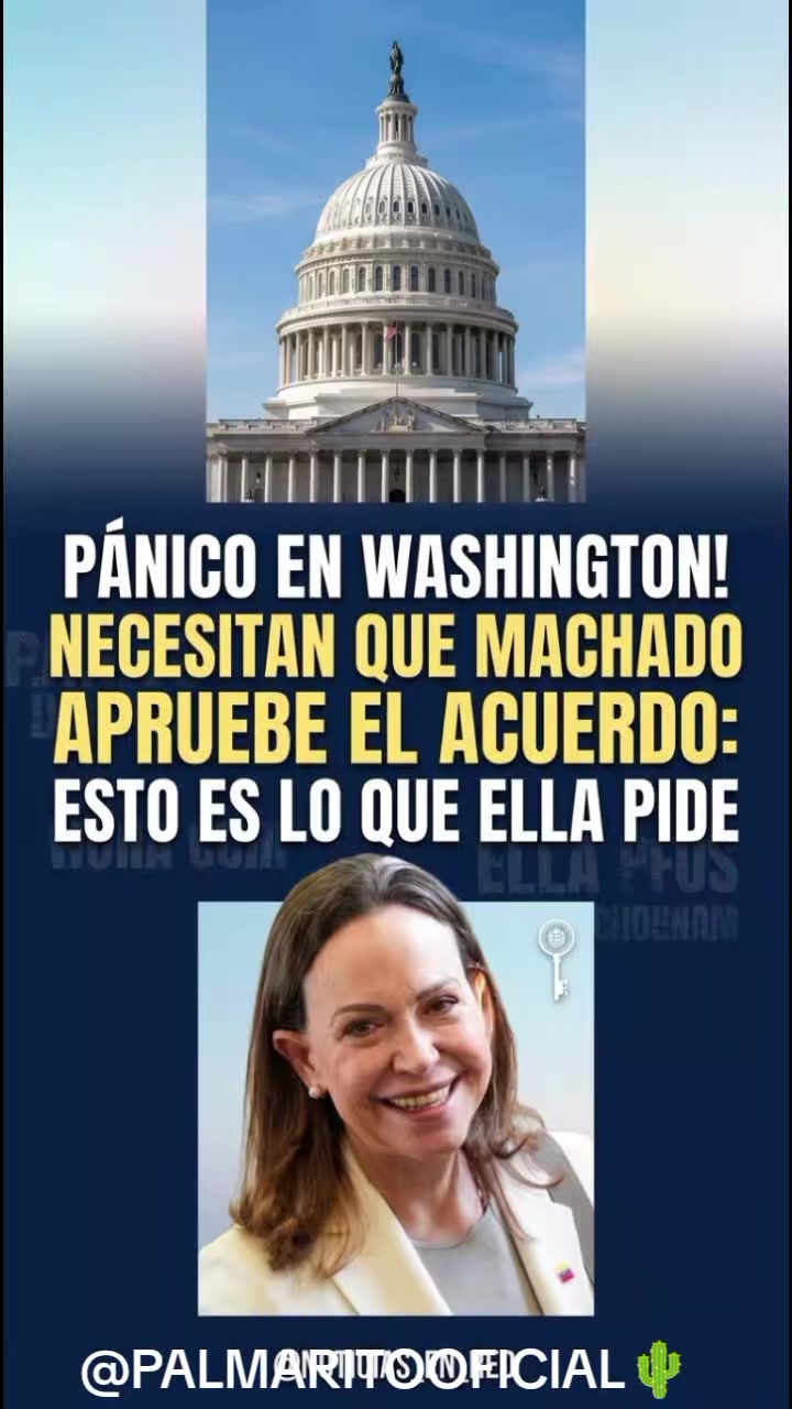 @PALMARITOOFICIAL 🌵