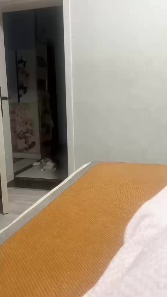 @Funny