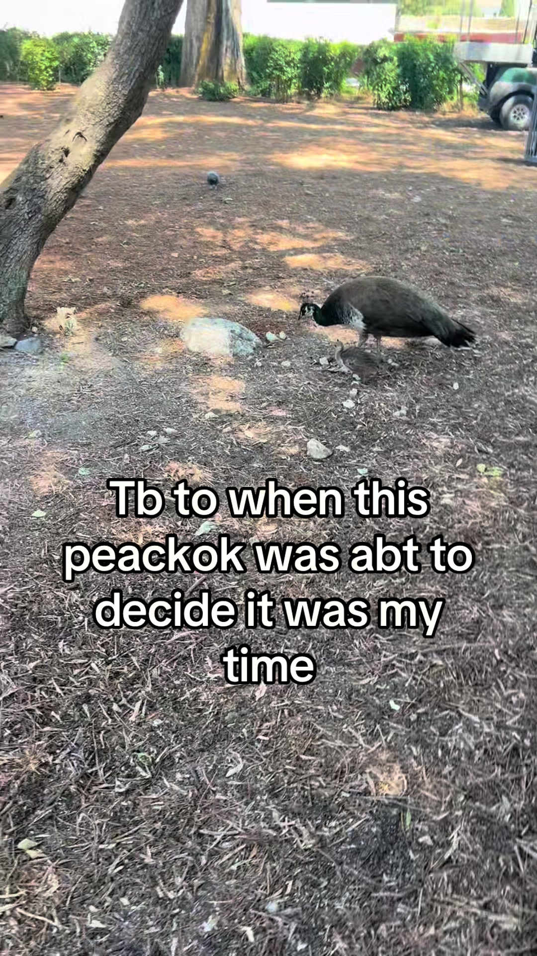 @𝑀𝒾𝓁𝒶 𝟫&frac34;