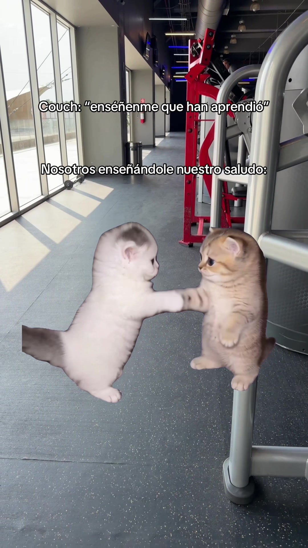 @Go! Fitness