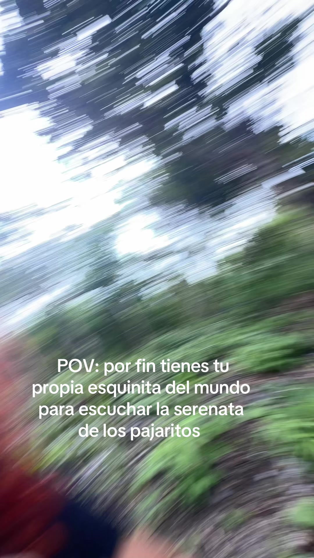 @Laliconsumelocal