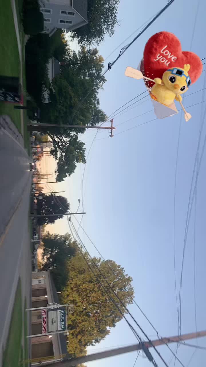 @jose.zavala265