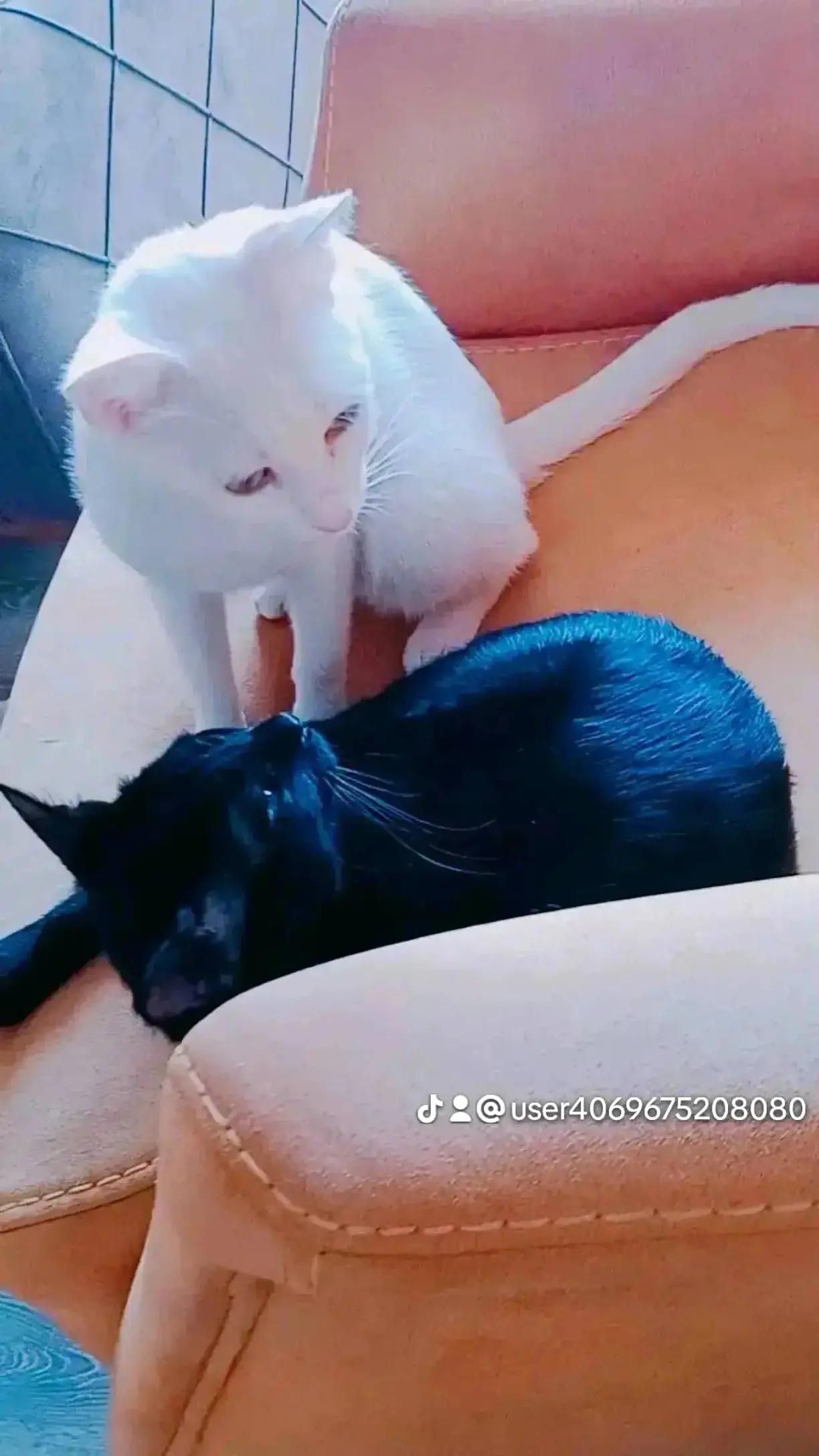 @Ali g&uuml;l