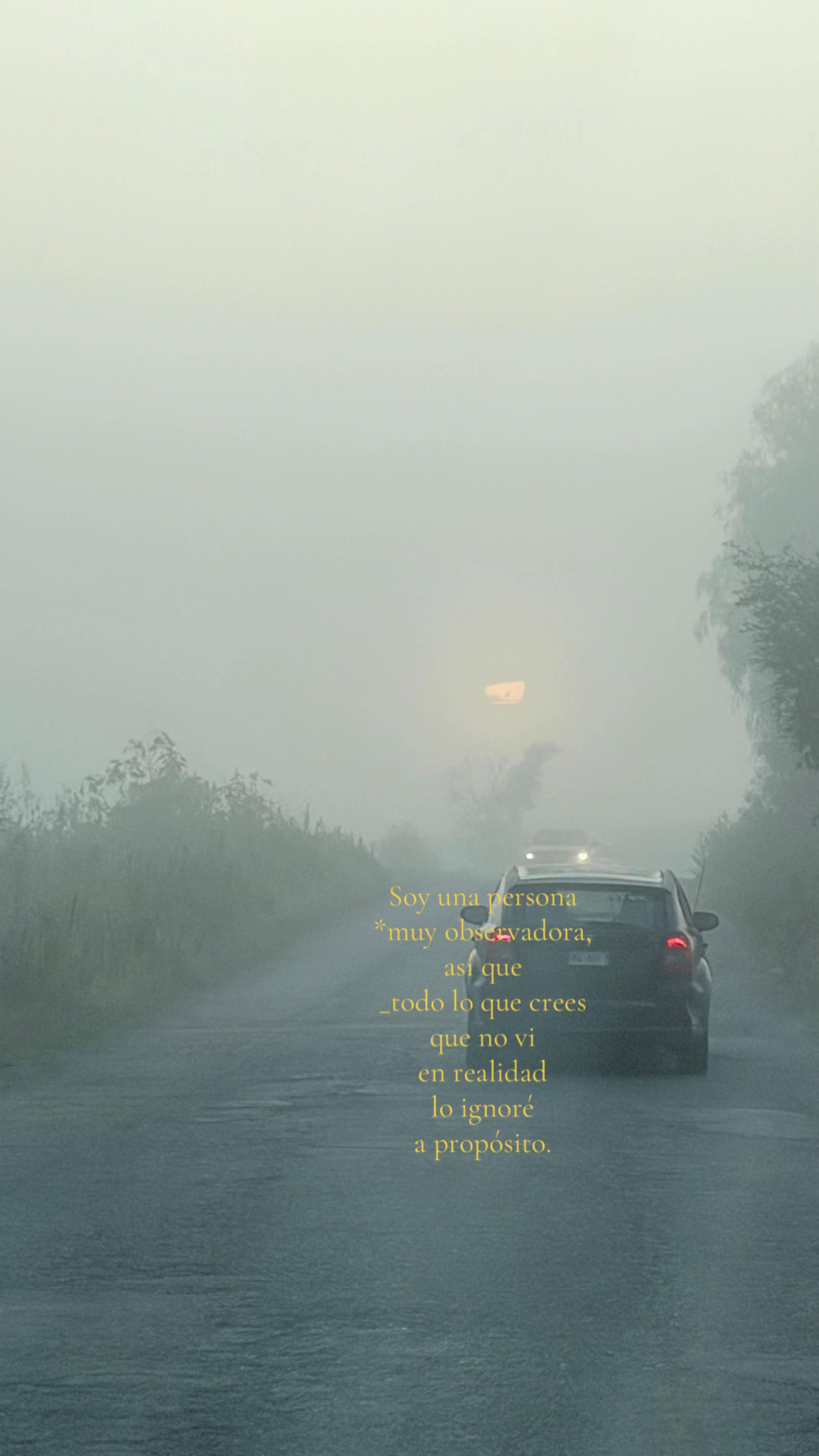 @𝒢𝒶𝒷'𝓈 ℛ𝒾́ℴ𝓈ℳℴ𝓇