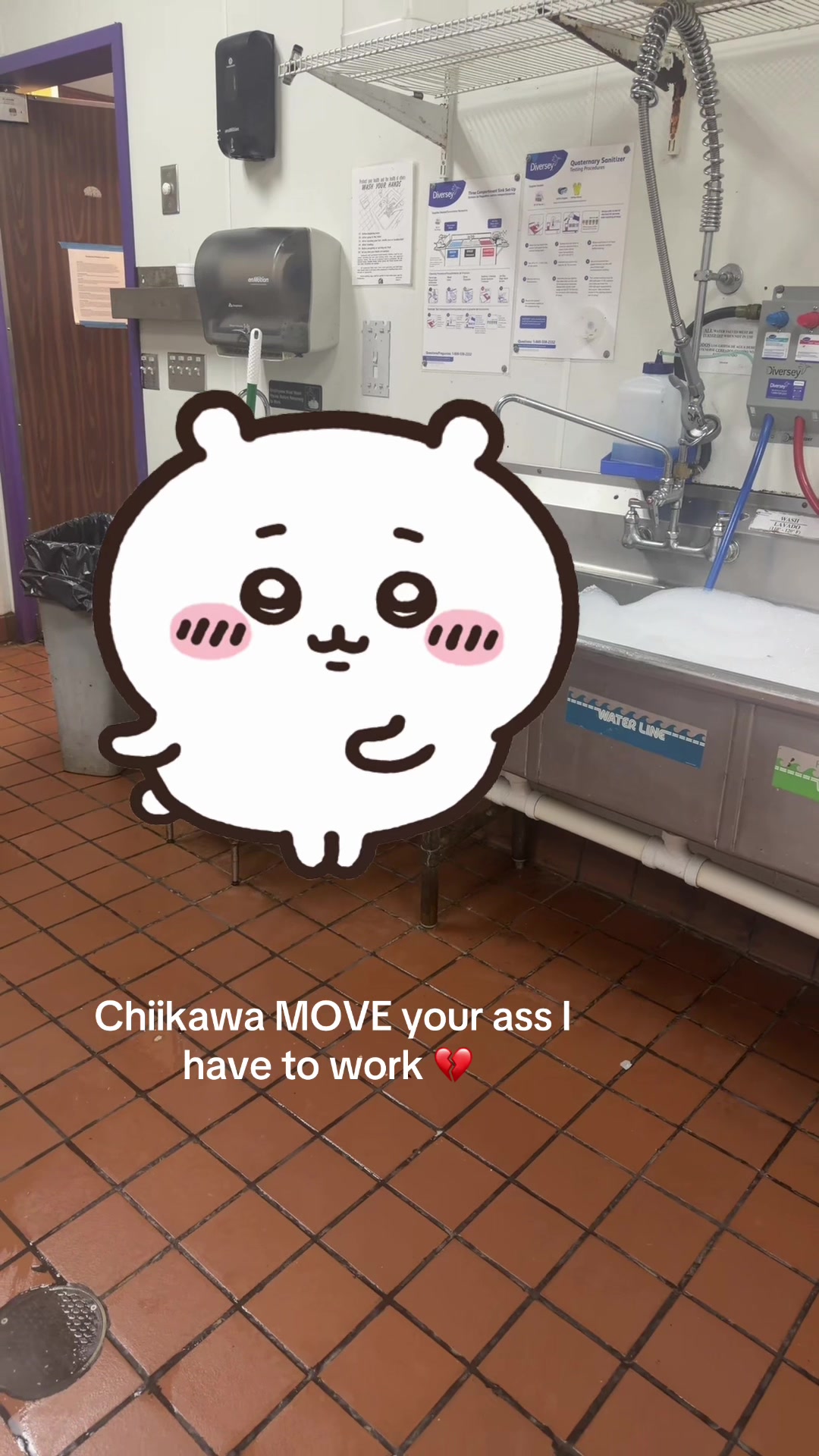 @charlotte