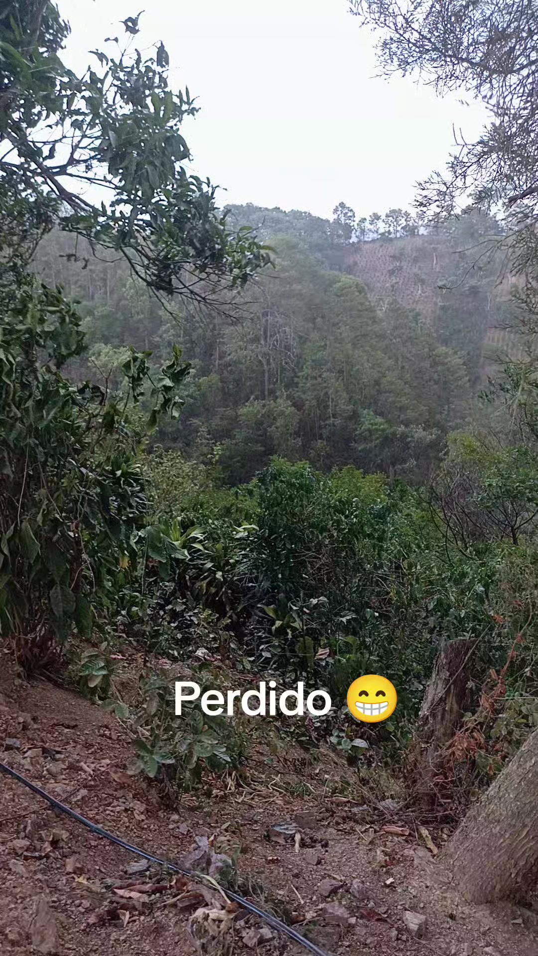@🐅🇬🇹𝕽𝖔𝖓𝖞 M𝖆𝖗𝖙𝖎𝖓𝖊𝖟