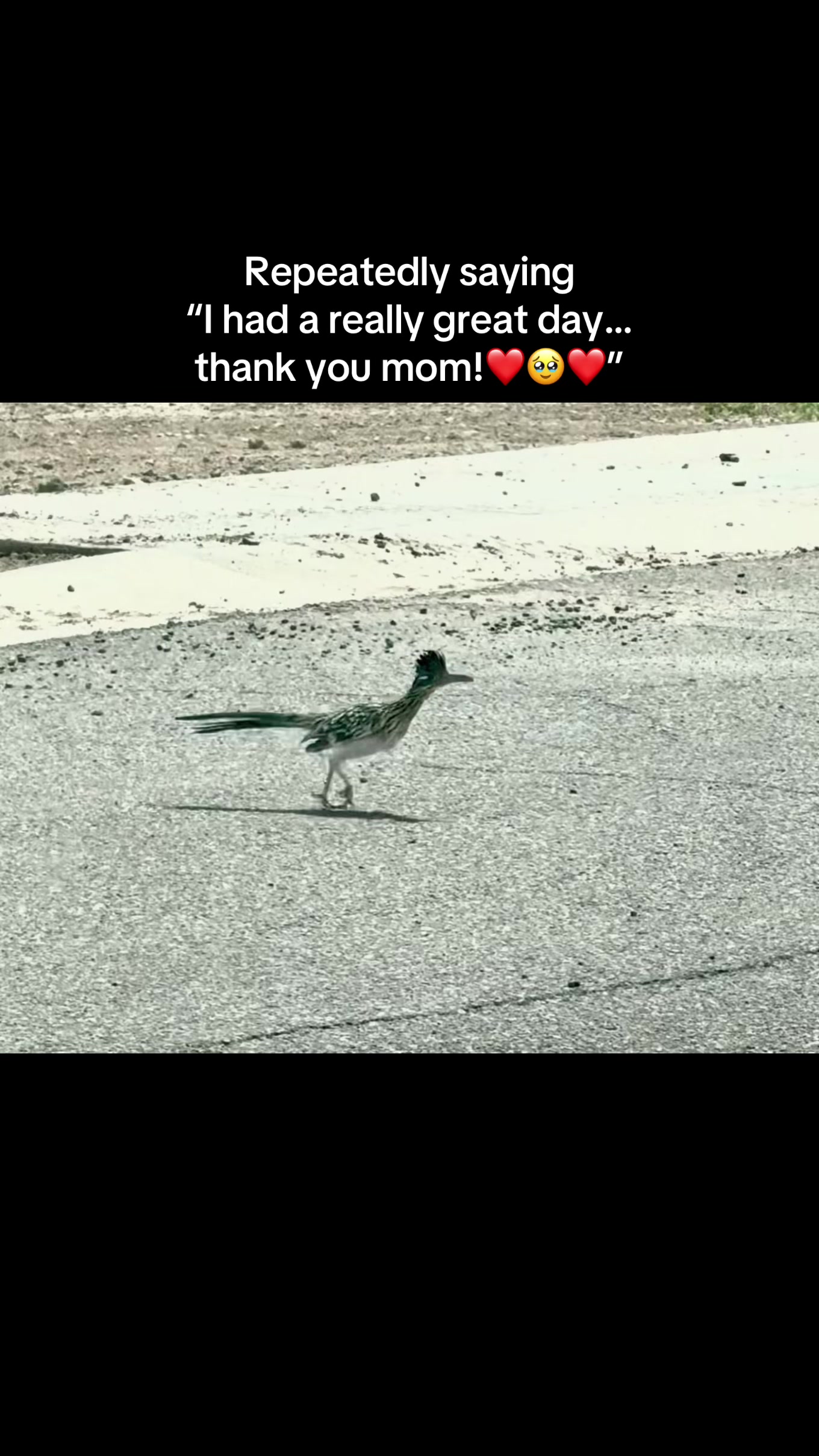 @Montanav84