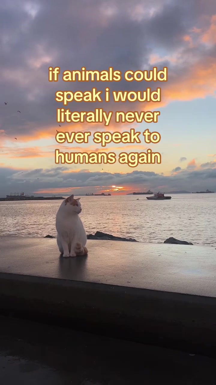 @&sbquo;