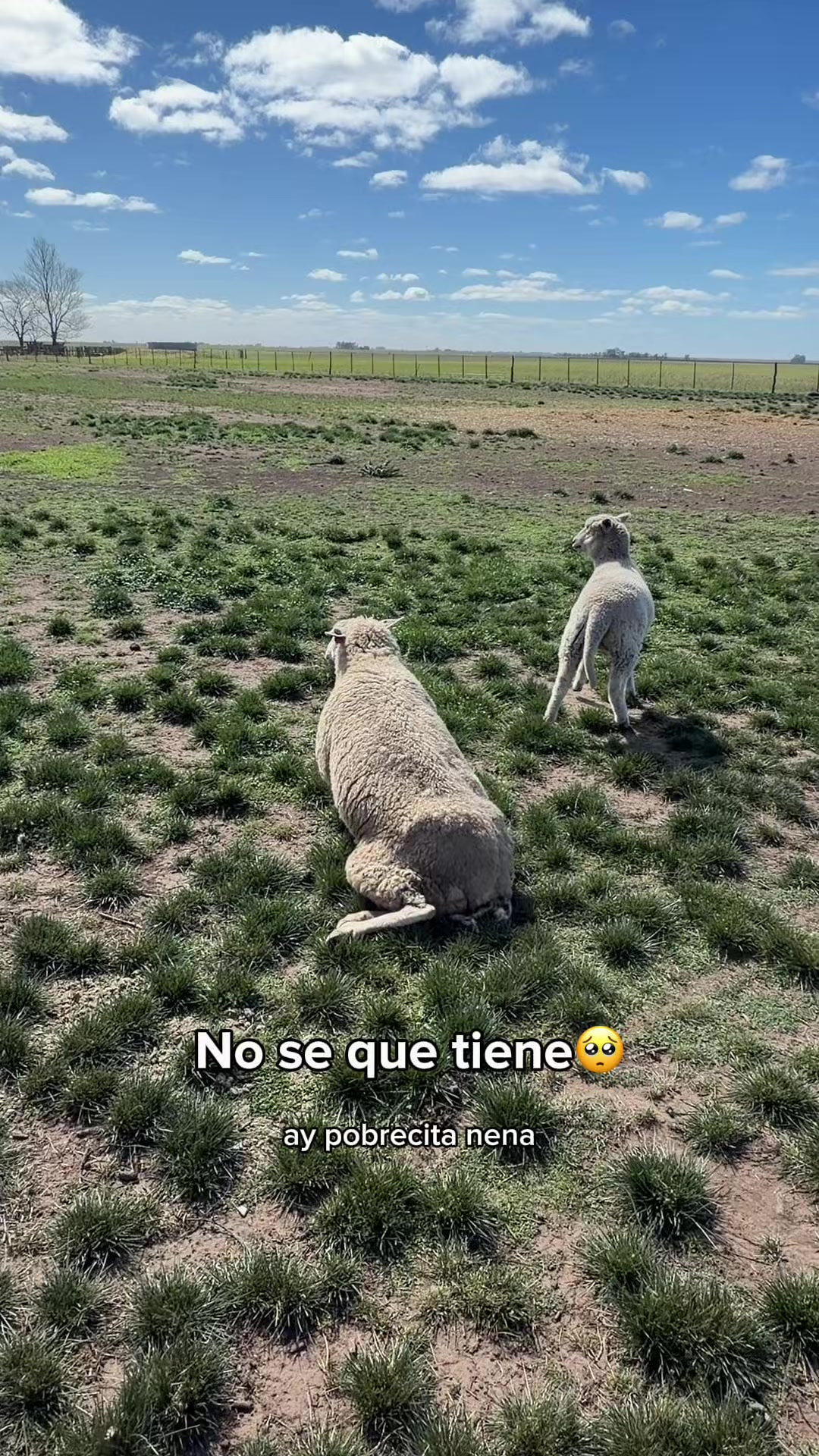 @Cristóbal Combes
