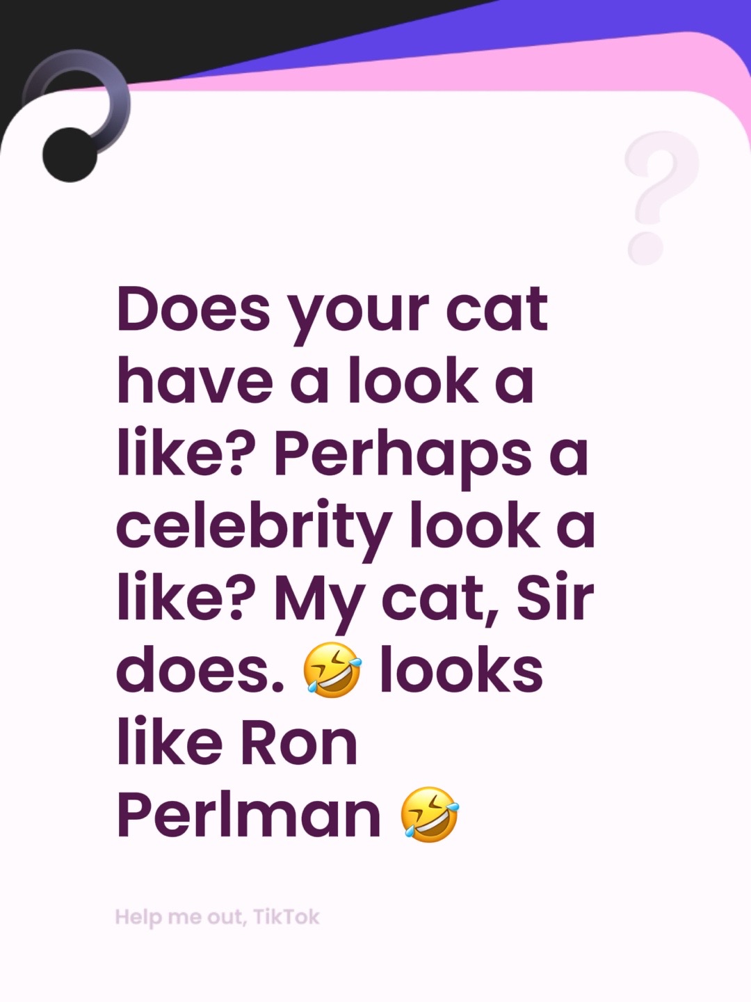 @catlover313official