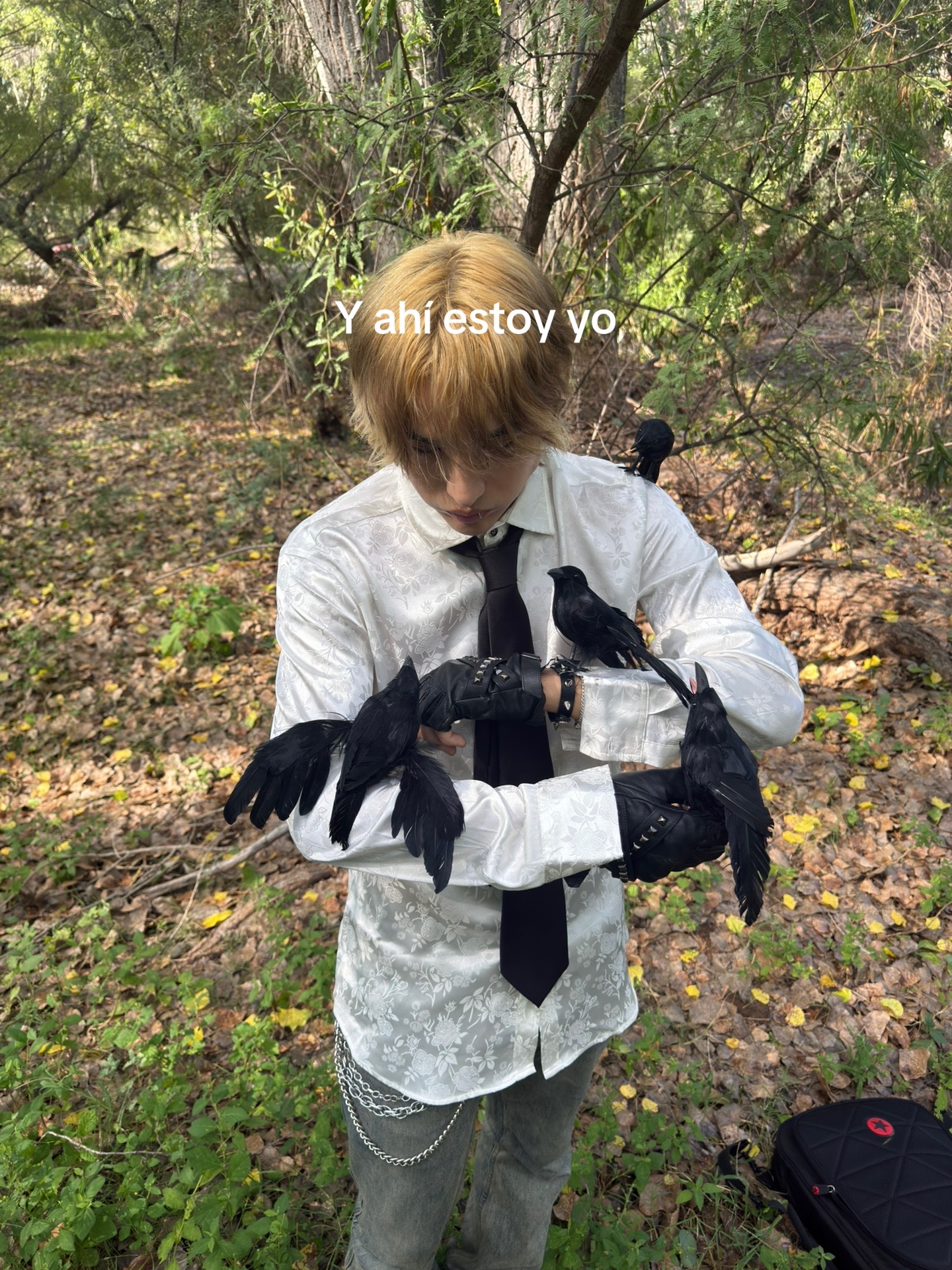 @fabio capri🦇