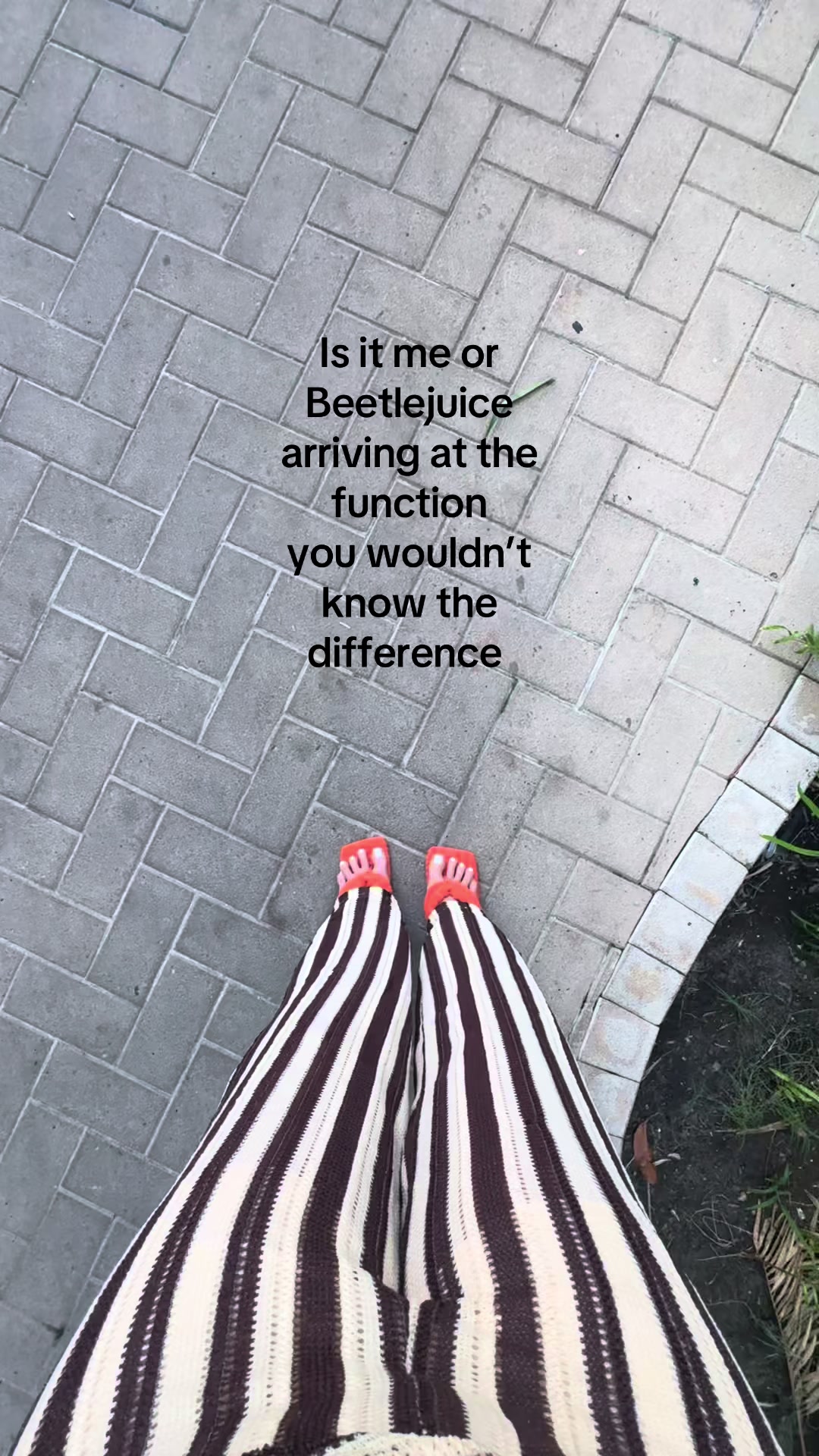 @amanda 🌶️🧸🍒
