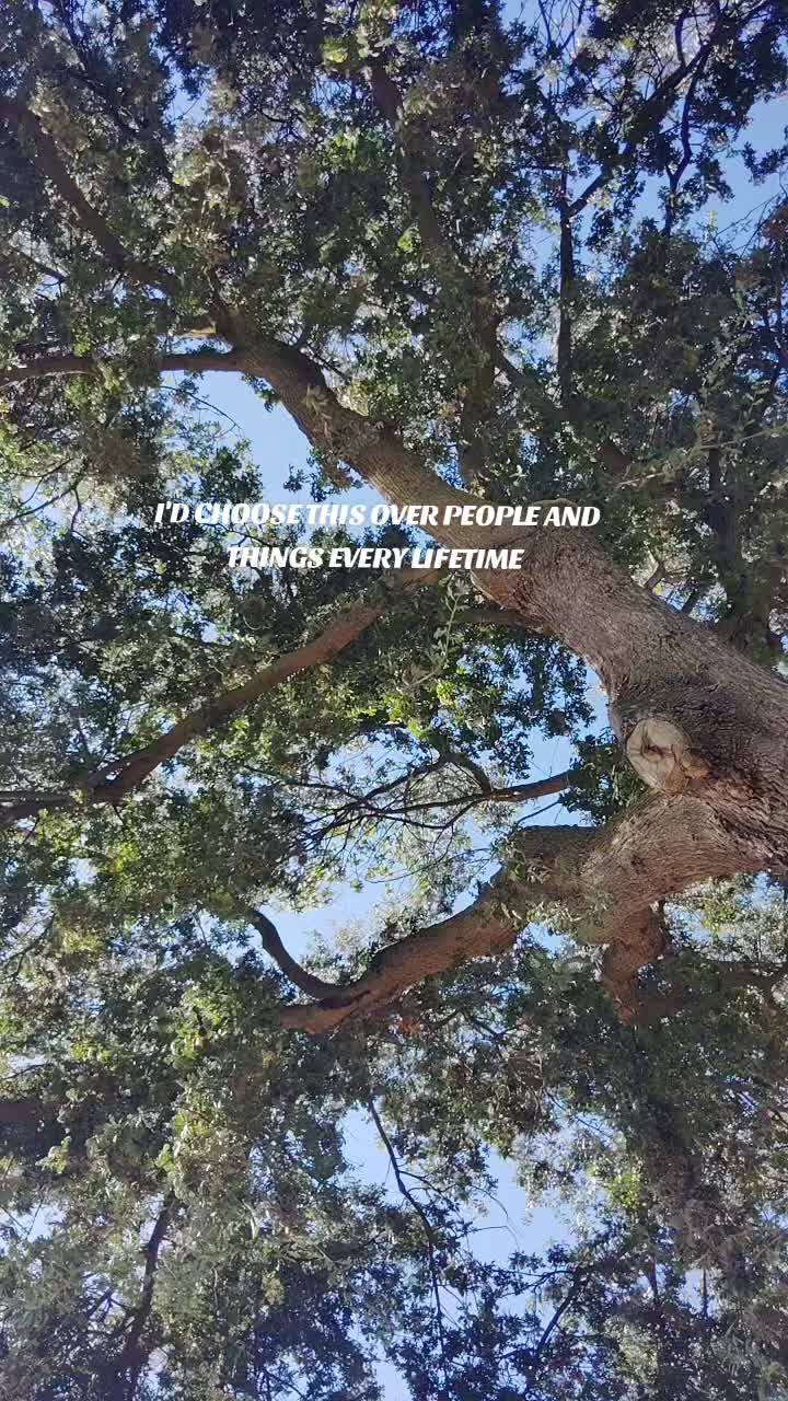 @Melissa kay🌻