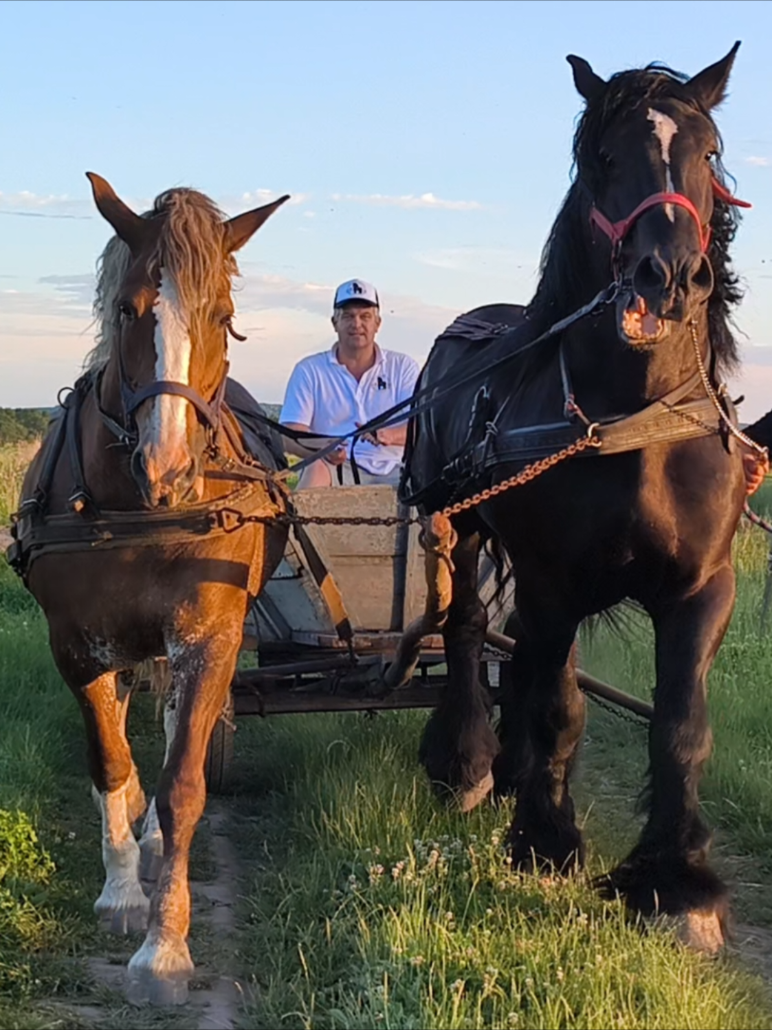 @ВАСЯ БОЙЧУК 🐎