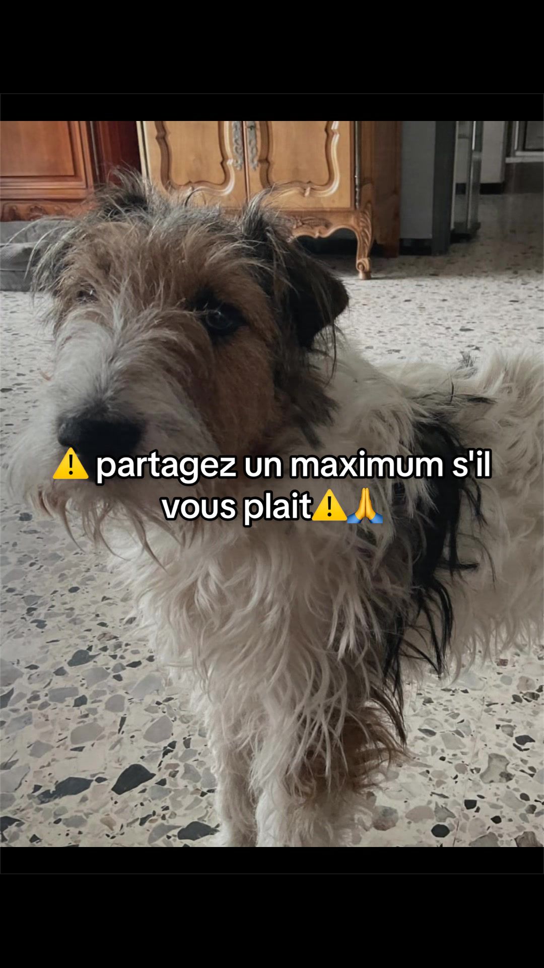 @Carolane Combon