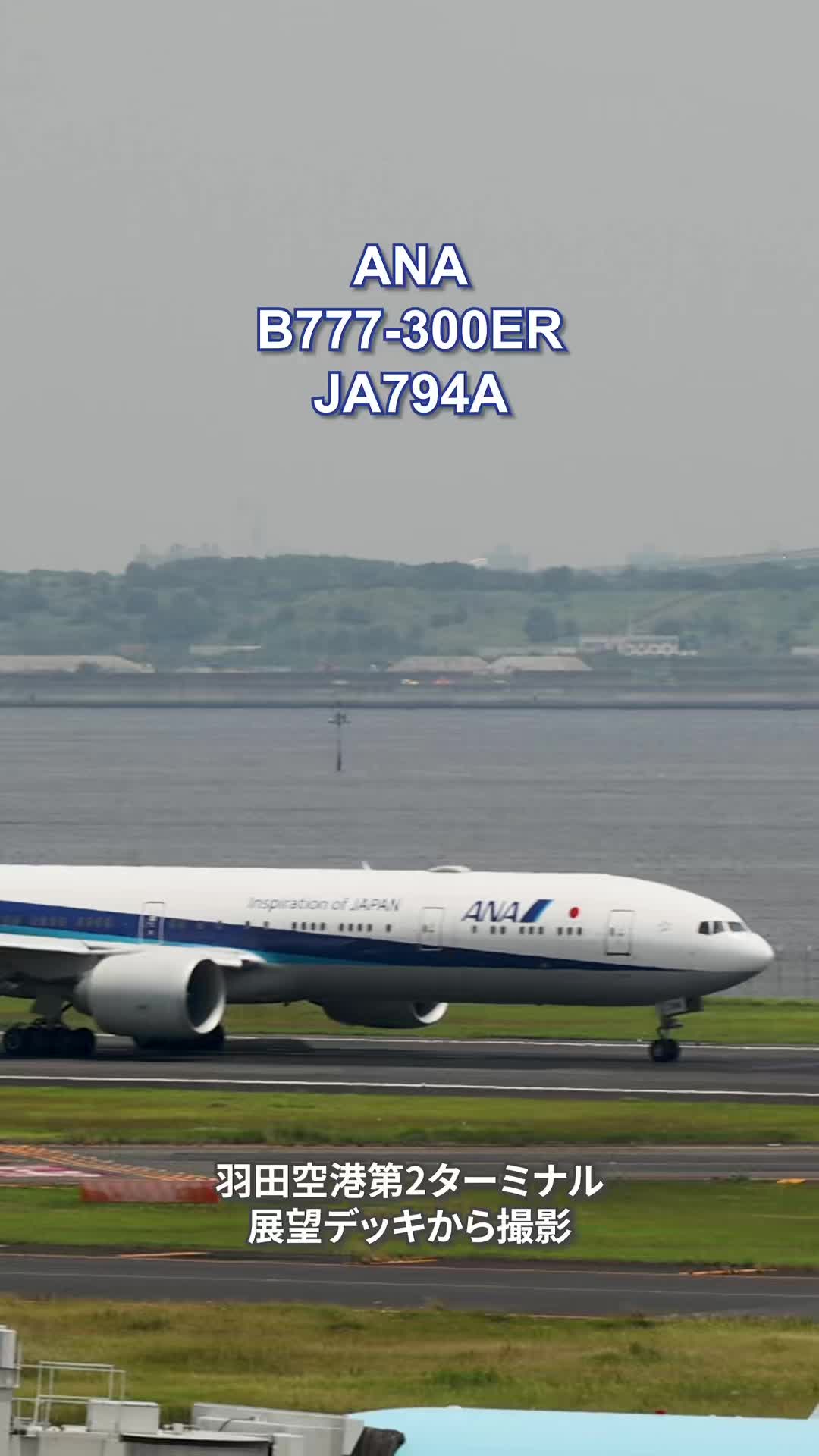 @Skyline だ〜はね|Haneda Airport ✈️