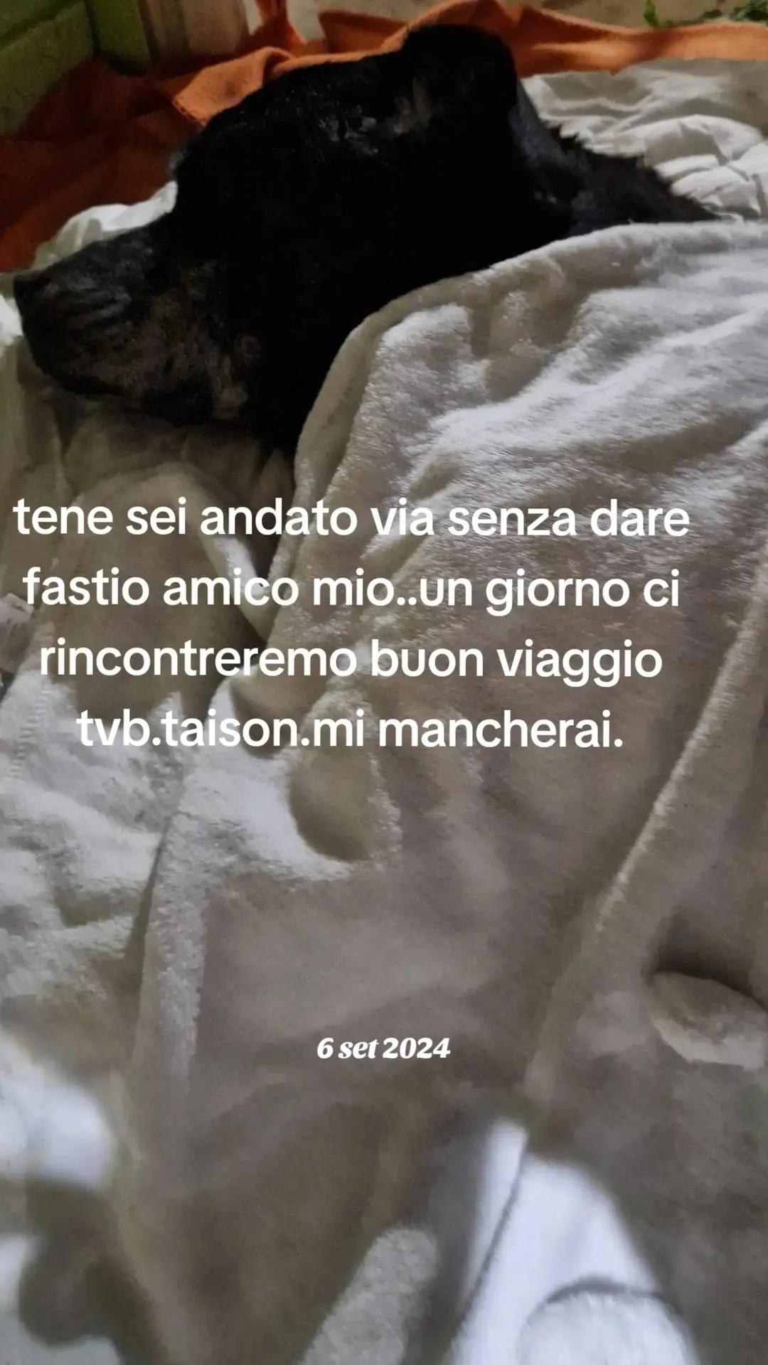 @Federica palombo