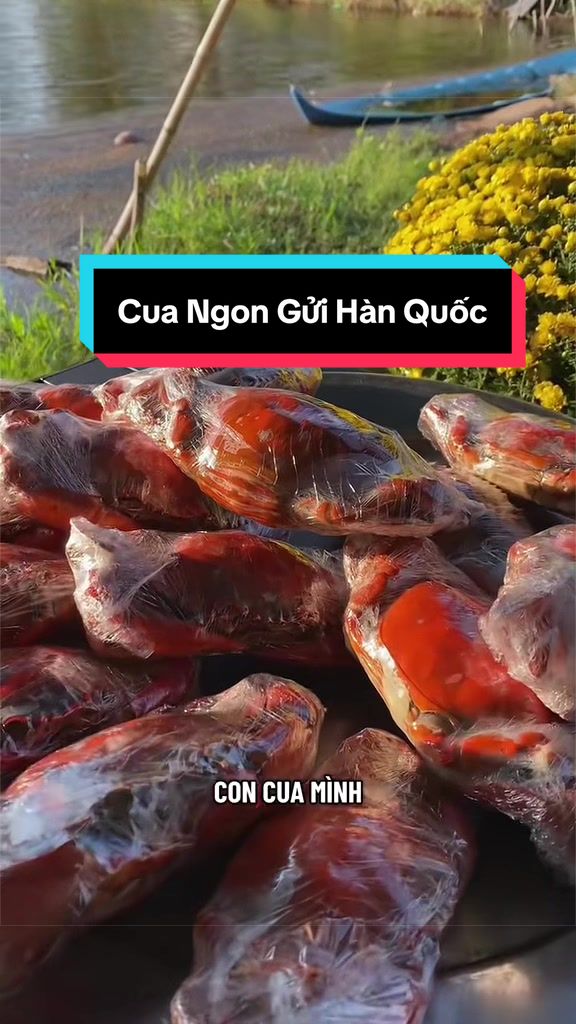 @Tuananh Do