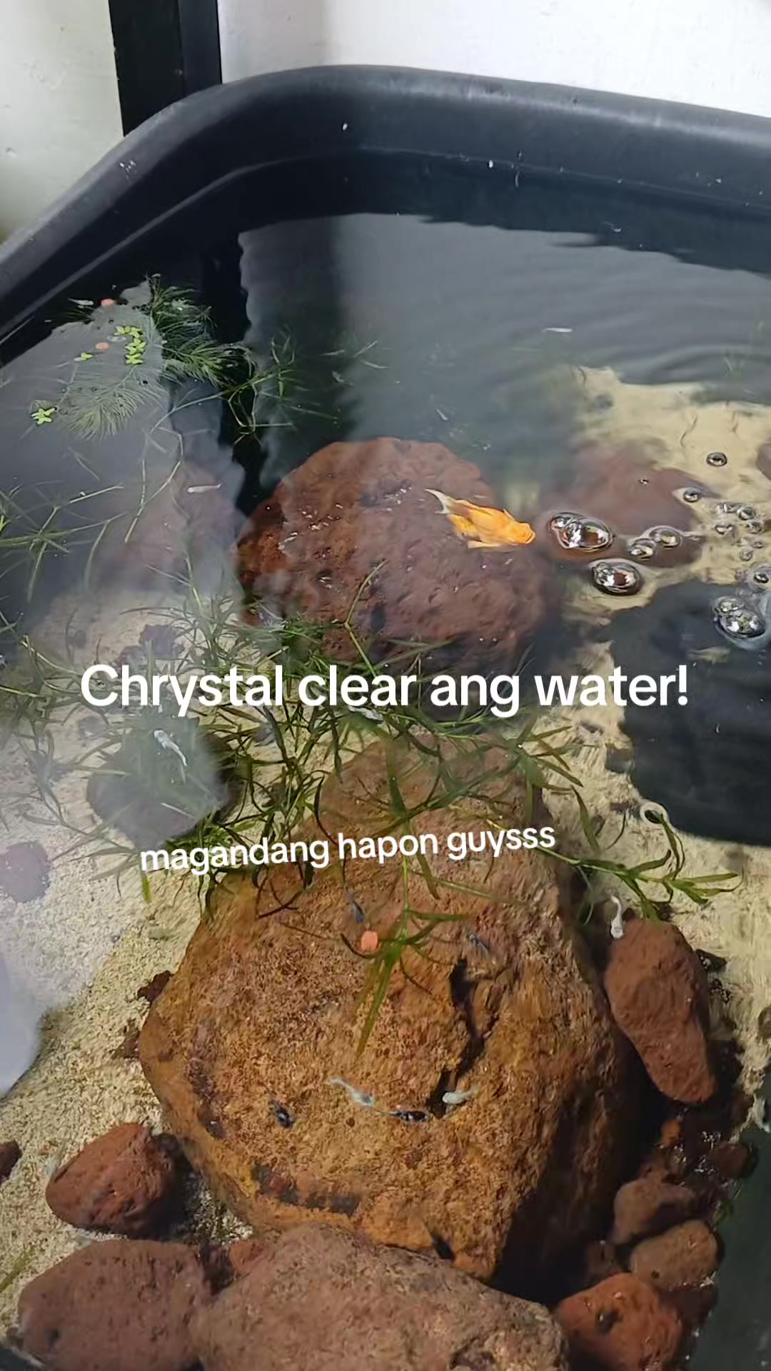 @Zai