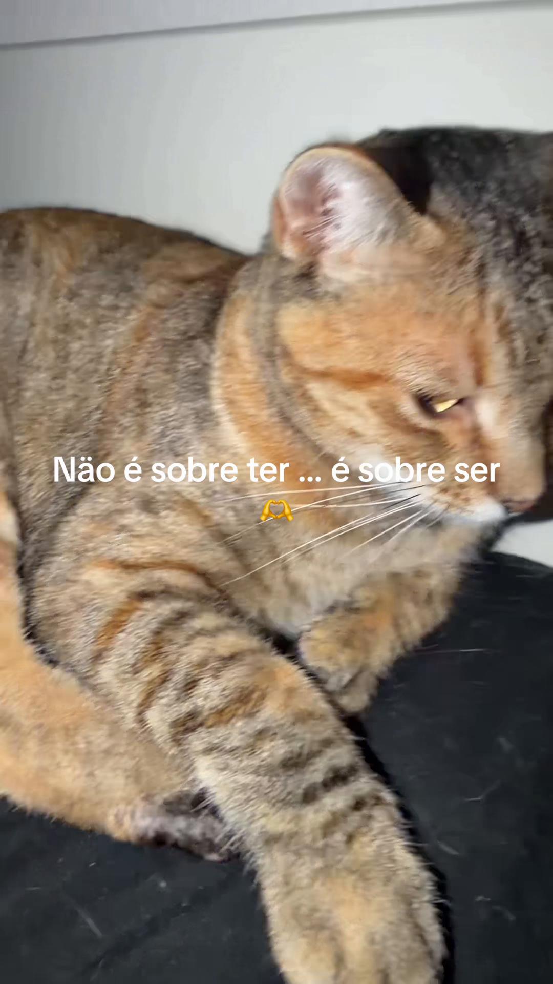 @Comer , Beber , Rezar e Amar..