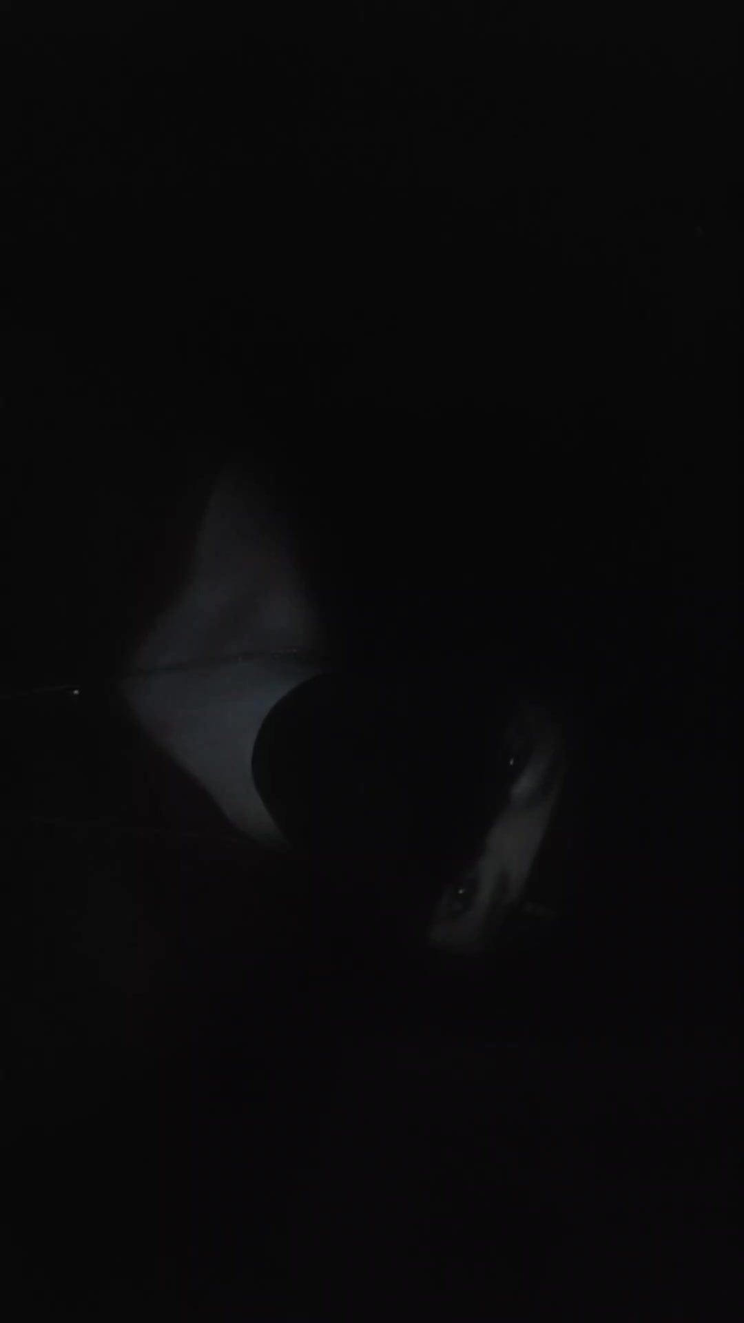 @&dagger;+✝+ 𝕳𝖊𝖑𝖑𝕳𝖔𝖚𝖓𝖉 +✝+&dagger;