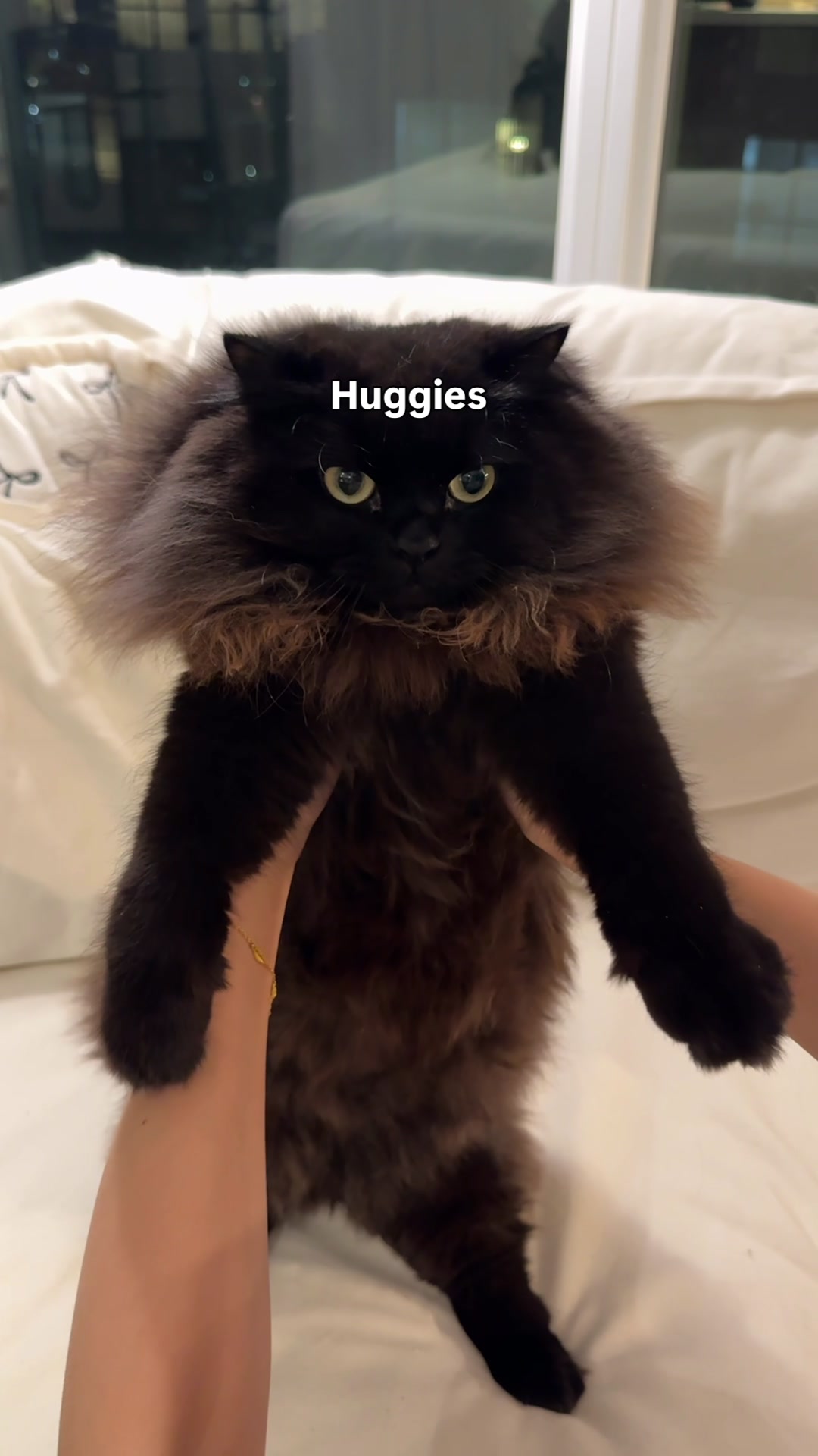 @truffie.nugget