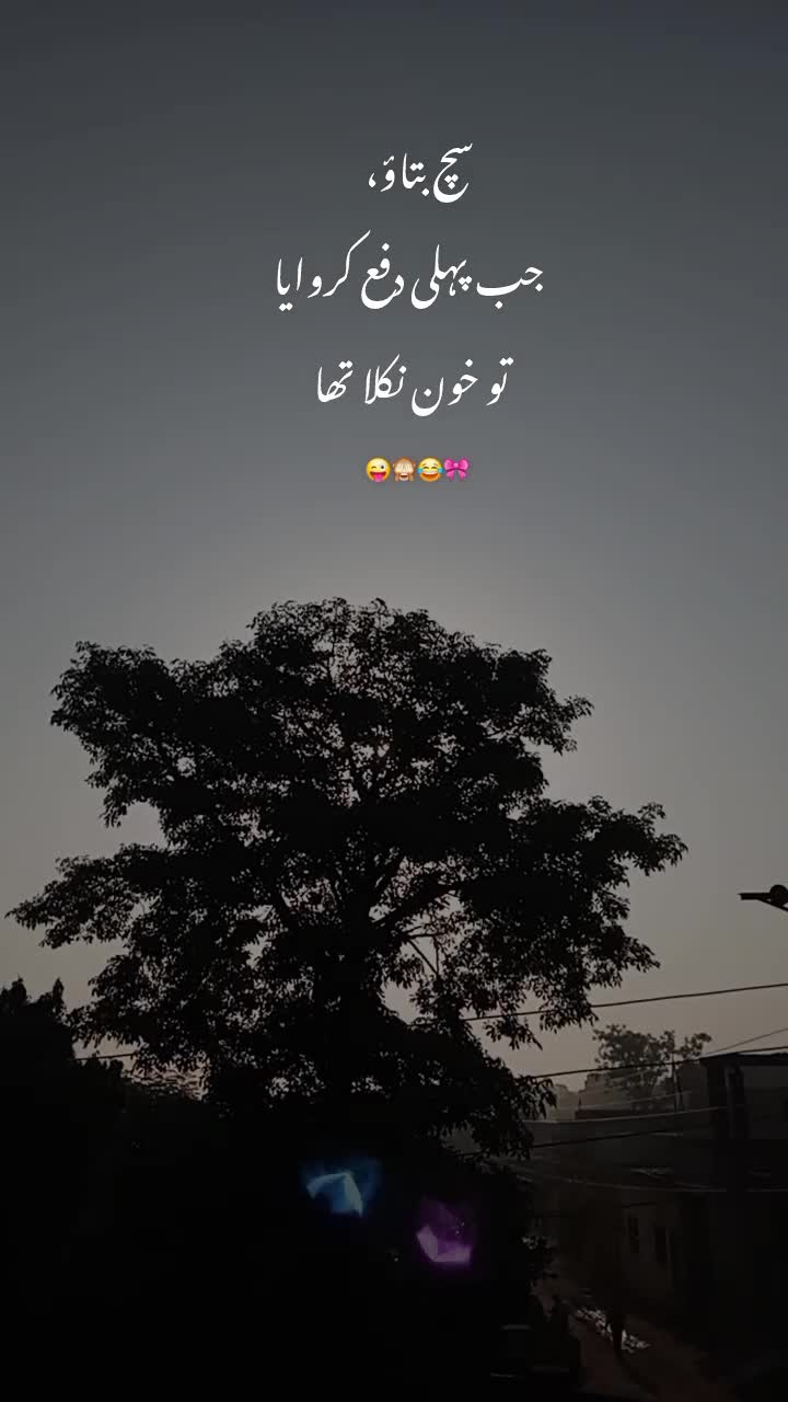 @Noor 𓍯𓂃ᥫ᭡.