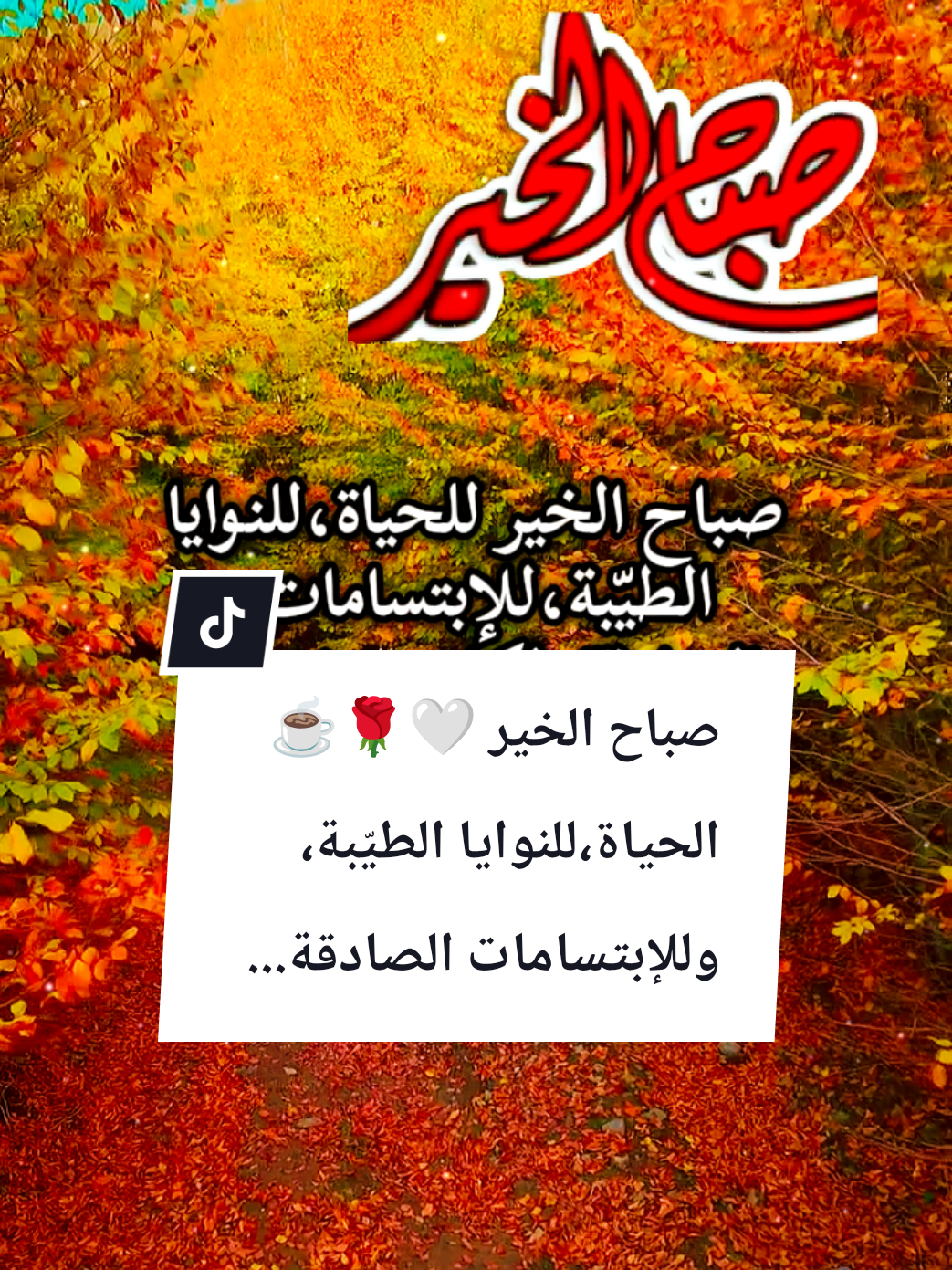 @🌟𝗦𝗼𝘂𝘇𝗮𝗻 𝗖𝗵𝗮𝗺𝘀
