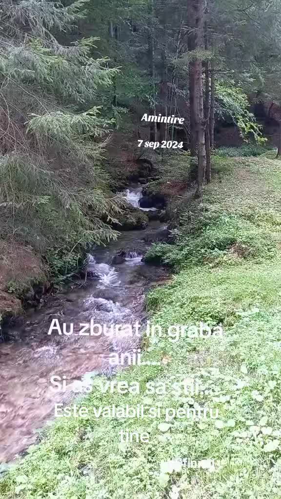 @#SFINXUL#