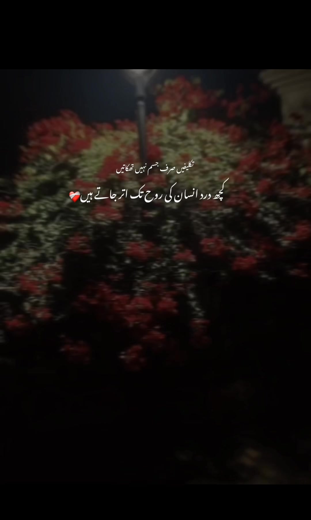 @𝐉𝐚𝐧𝐧𝐀𝐓🤍