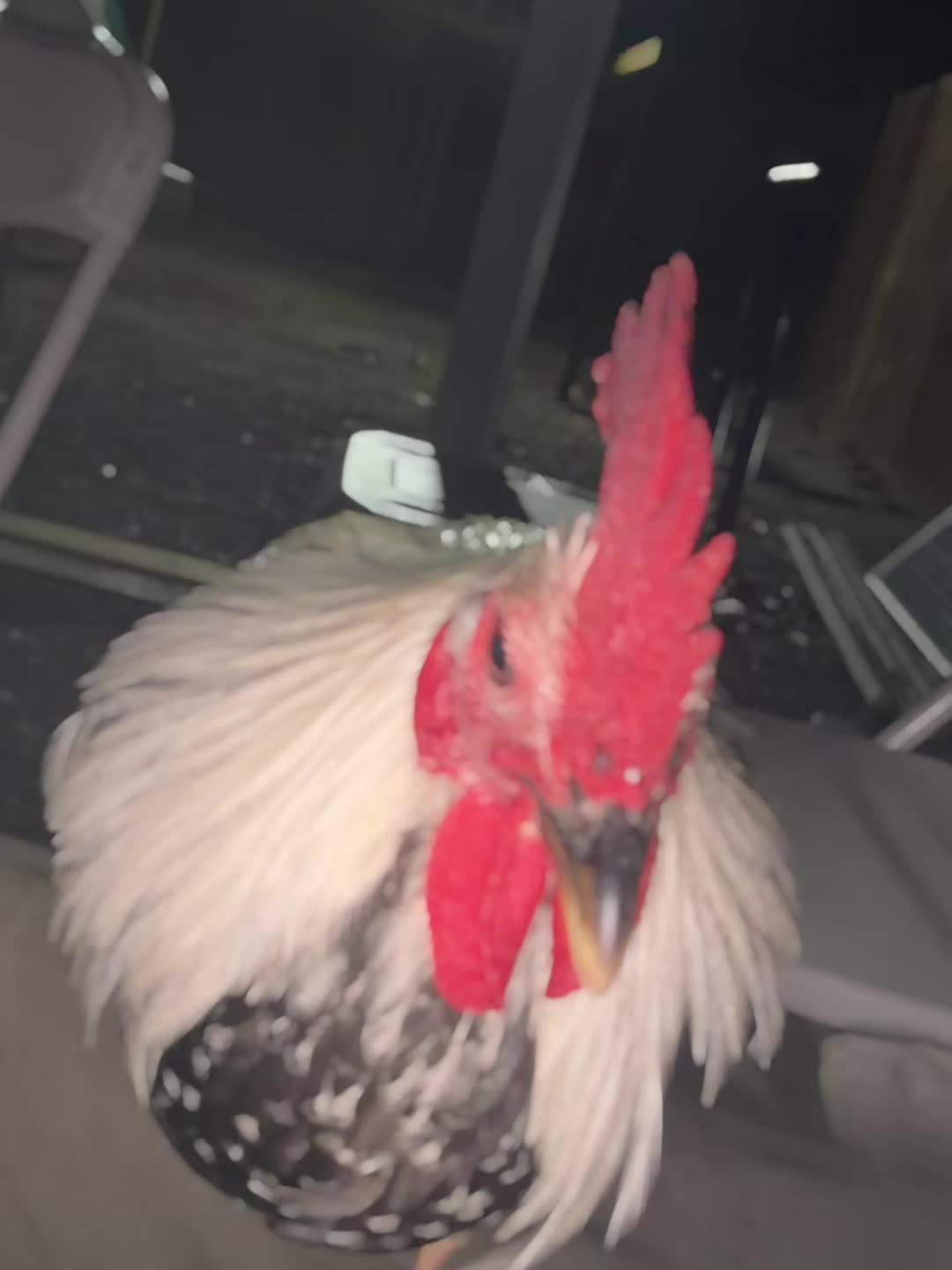 @A.MENDOZA.FARM.USA 74HWY