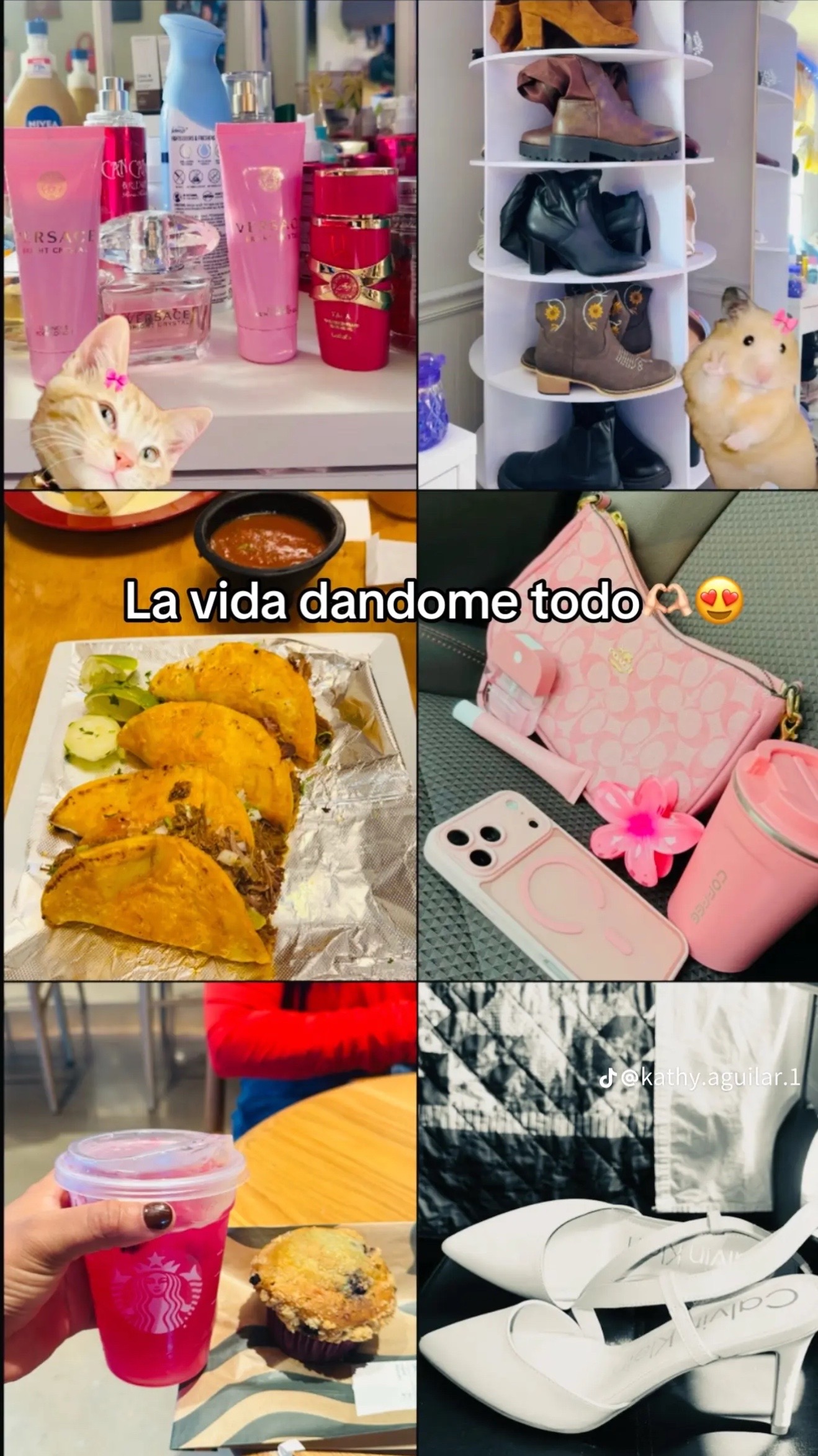 @MeyRodas07🫧🦋