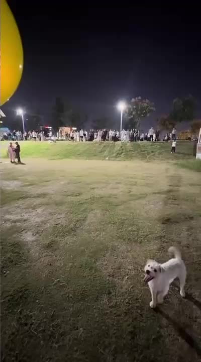 @Funny