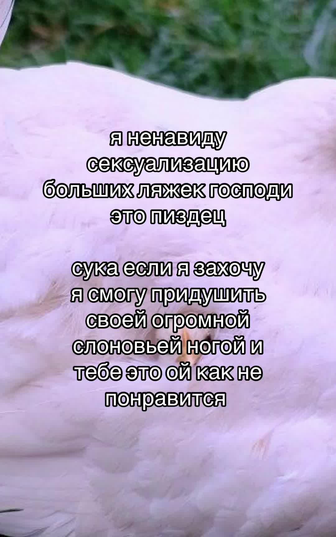 @лмао форевер
