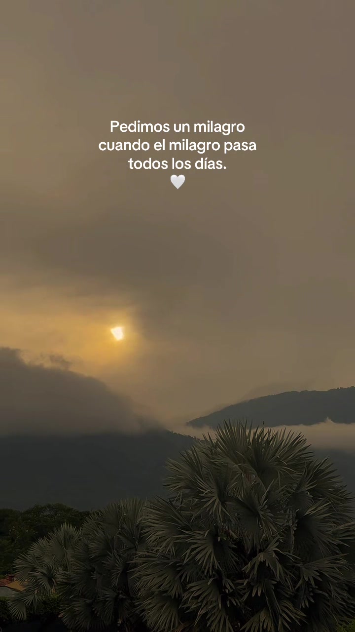 @elbadebarboza