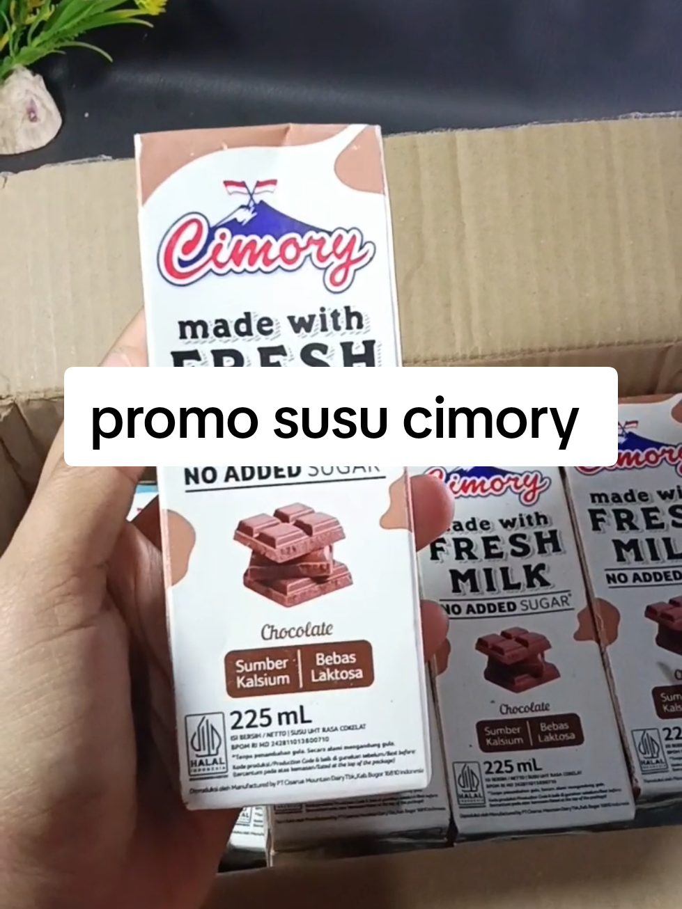 @zellaycel02