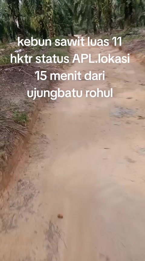 @duo property pku