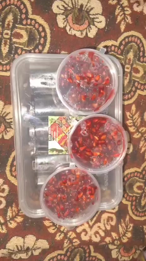 @sour and spicy lavashak🌶️🤤
