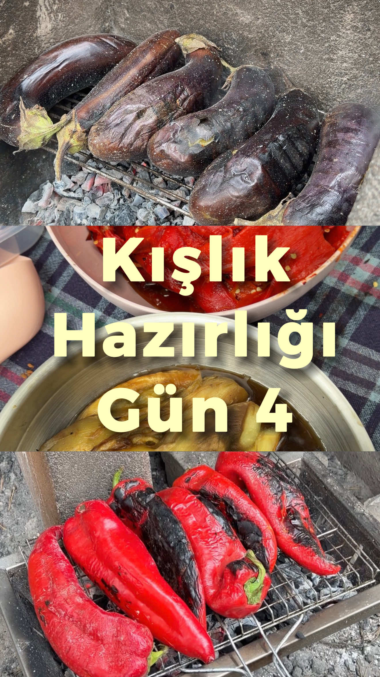@Hande Üngörgil Molder