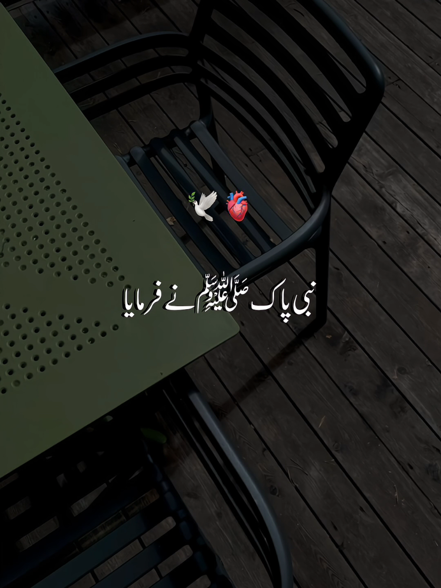 @𝐒𝐀𝐐𝐈𝐁 𝐄𝐃𝐈𝐓𝐒✨️