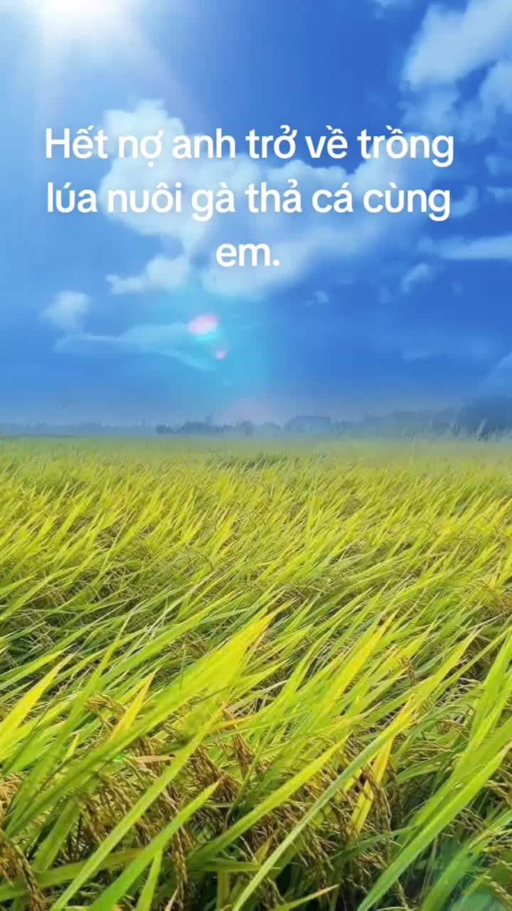 @MINH DUNG NH