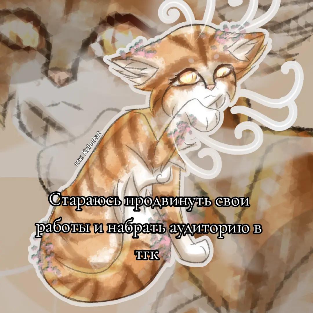 @⋆𝑶𝒔𝒂𝒎𝒖 𝒎𝒐𝒊 𝑷𝒂𝒑𝒂💗
