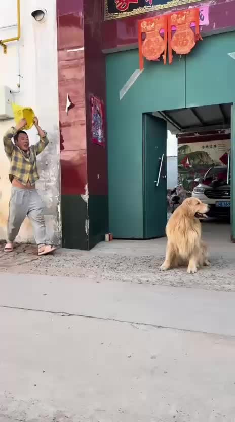 @Funny