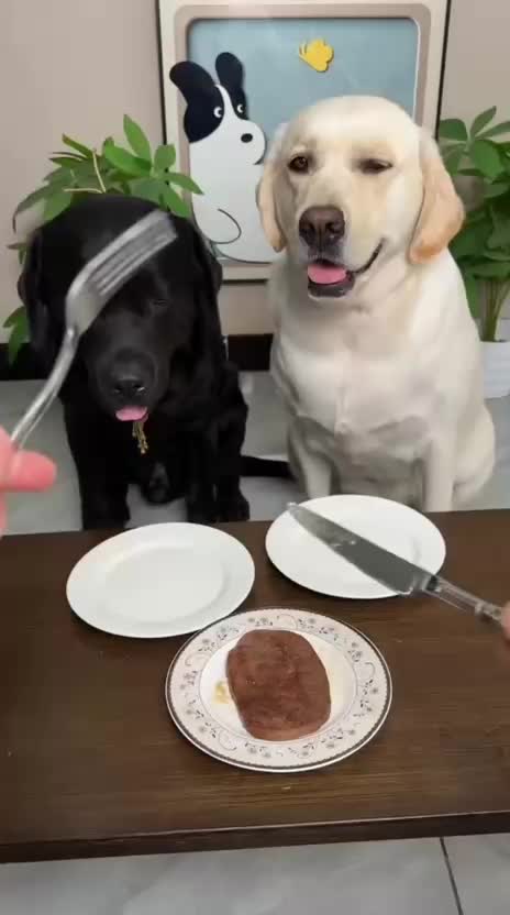 @Funny