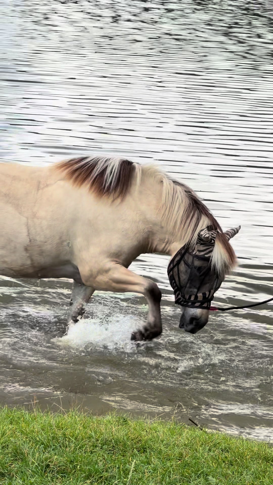 @kowalik_eq