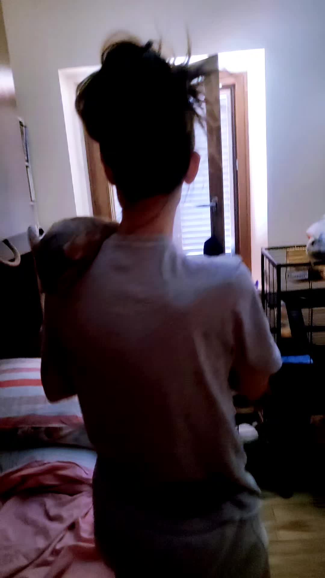 @titty