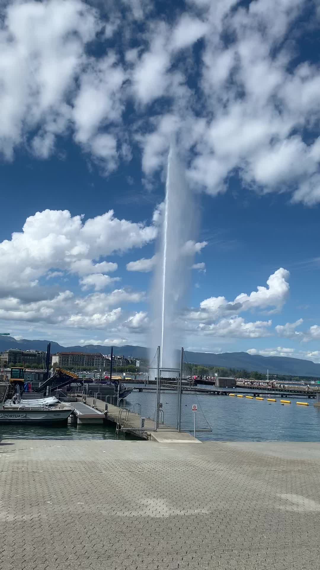 @🦢BaTa