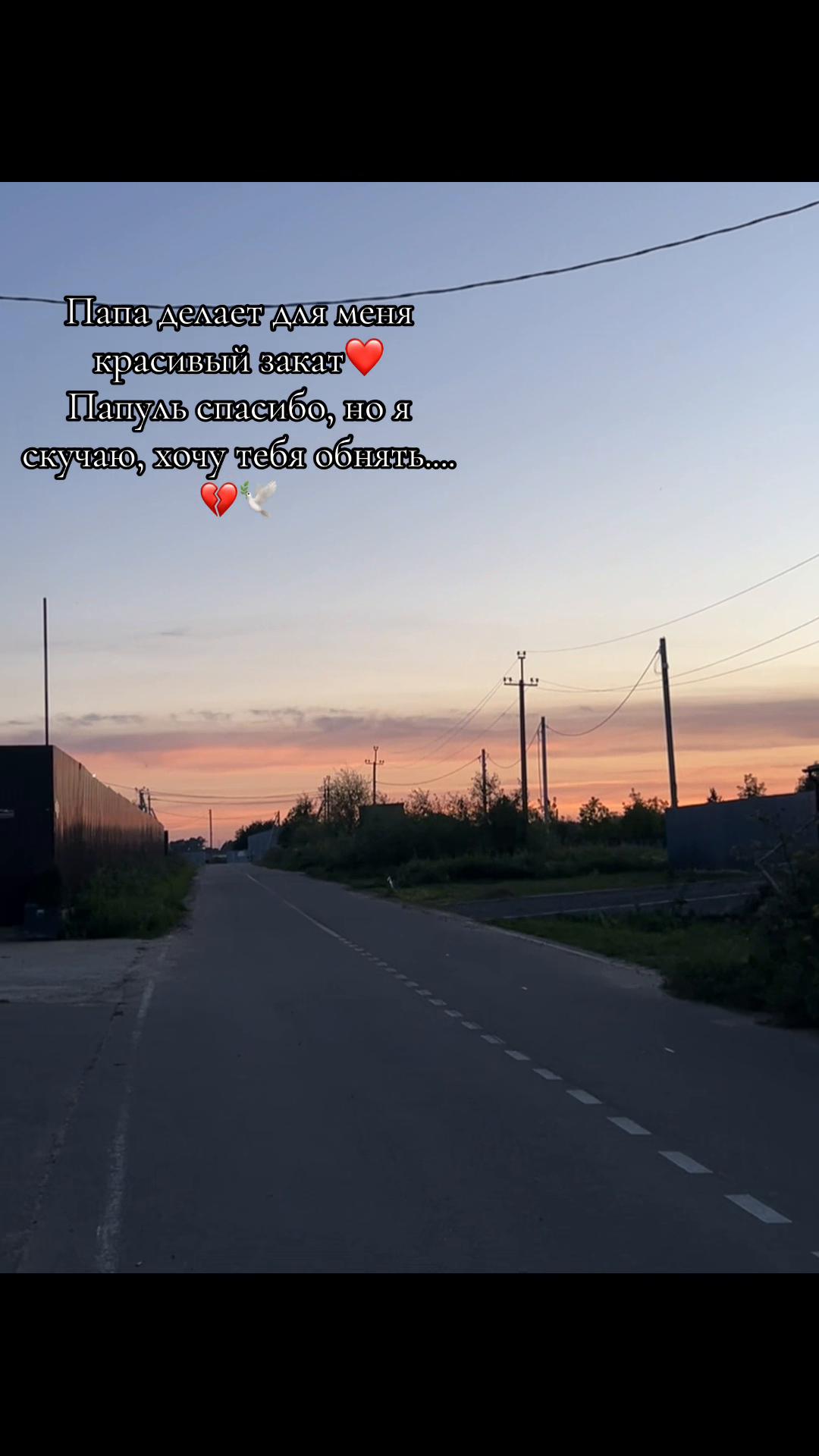 @сонная 🕷️